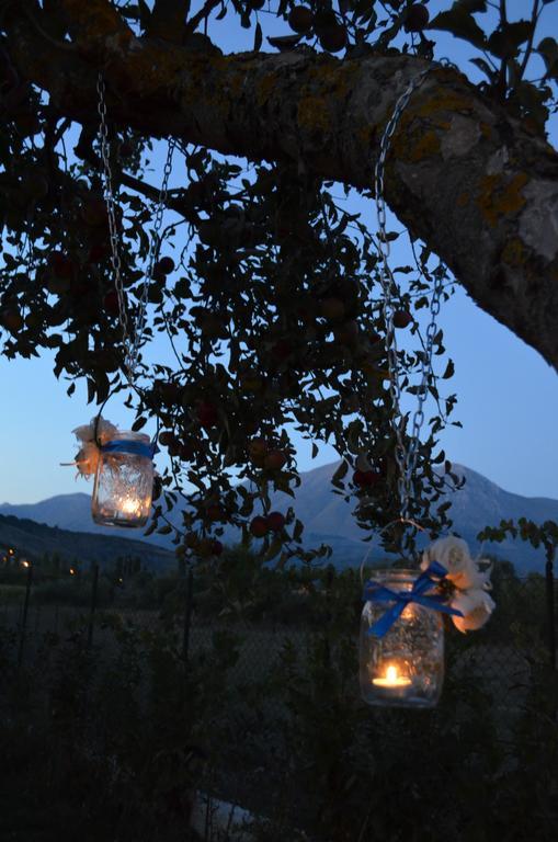 Scurcola Marsicana Agriturismo Villa Palentina المظهر الخارجي الصورة